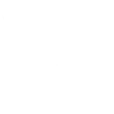 Logo de No Visual Games